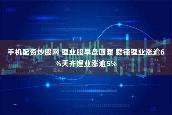 手机配资炒股网 锂业股早盘回暖 赣锋锂业涨逾6%天齐锂业涨逾5%